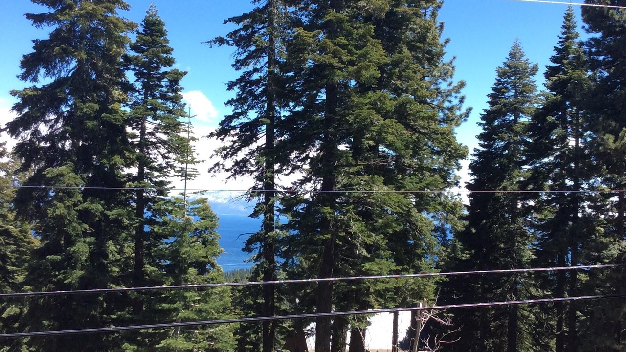 Photo of Outdoor in Talmont