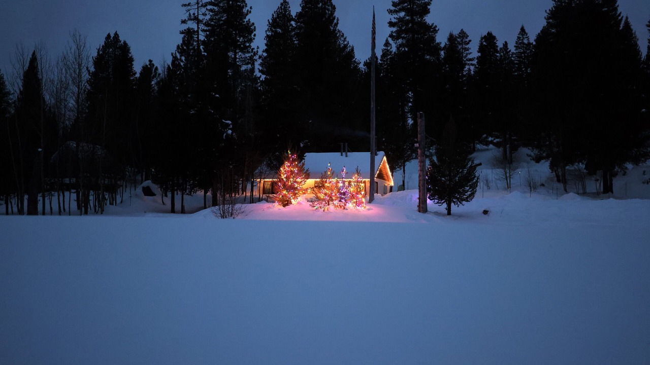 Photo of Others in Ponderosa