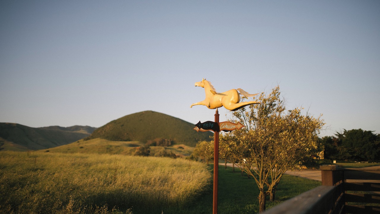 Photo of Others in San Luis Obispo