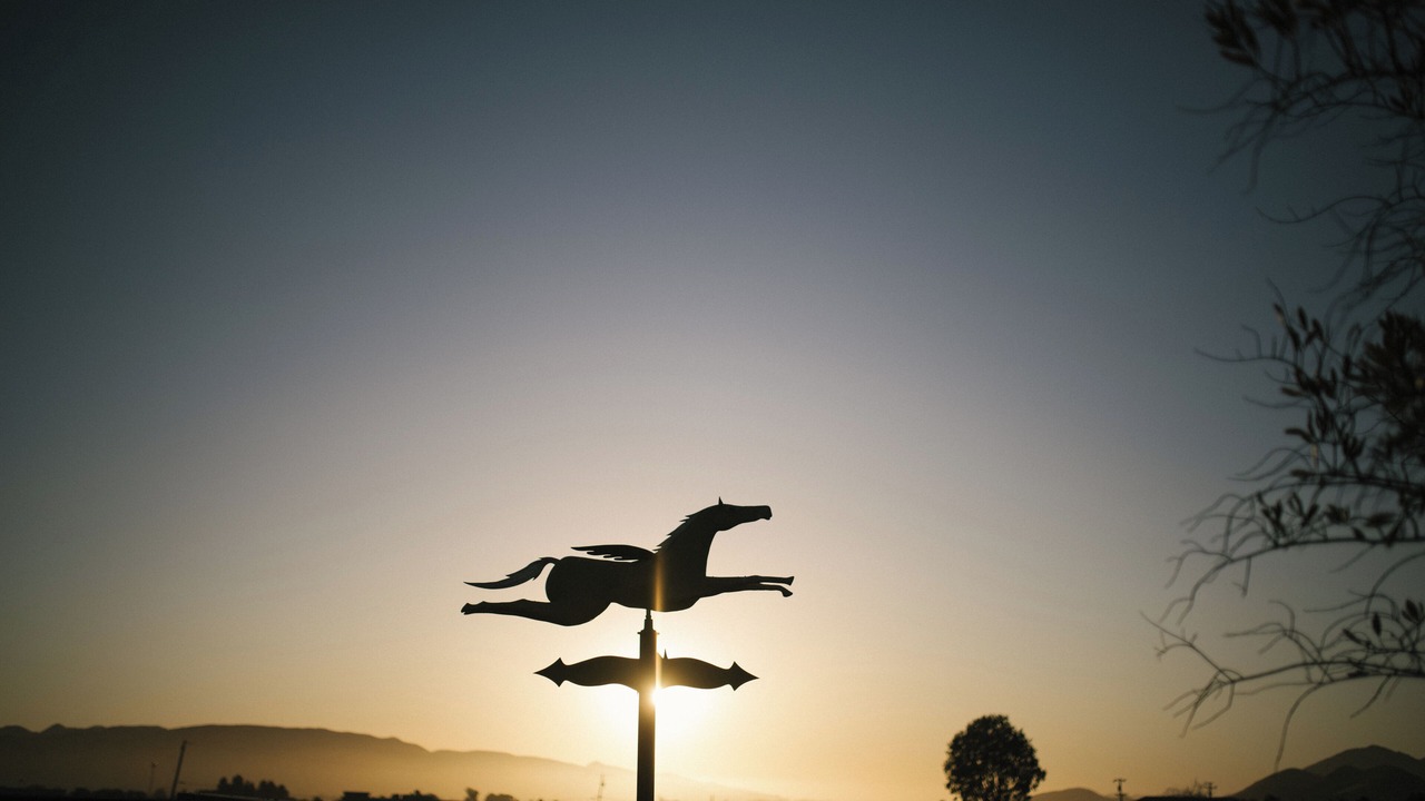 Photo of Others in San Luis Obispo