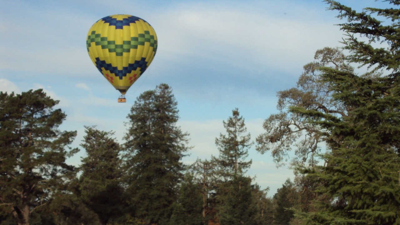Photo of Others in Santa Rosa
