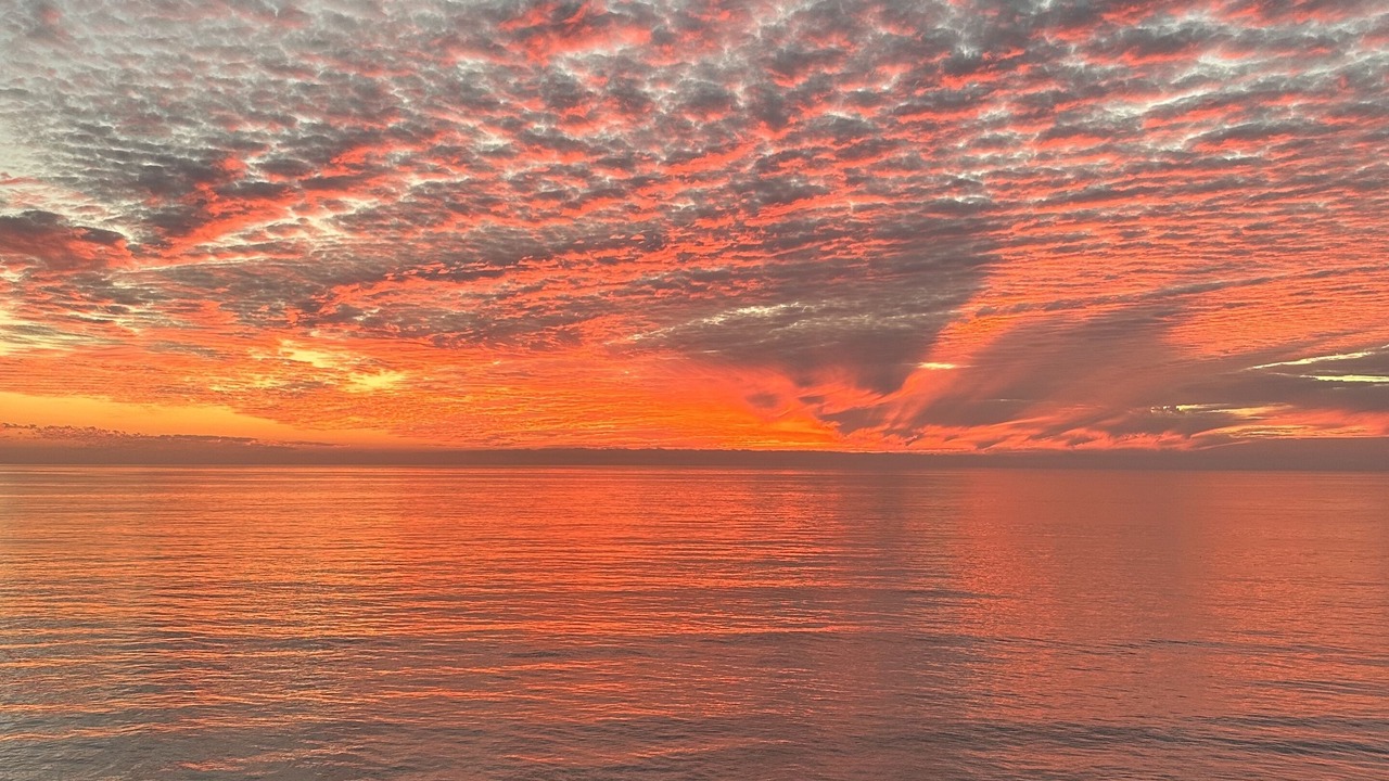 Photo of Others in Solana Beach