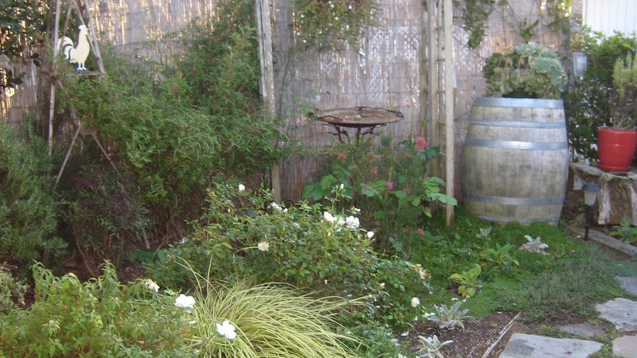 Photo of Outdoor in Baywood Park