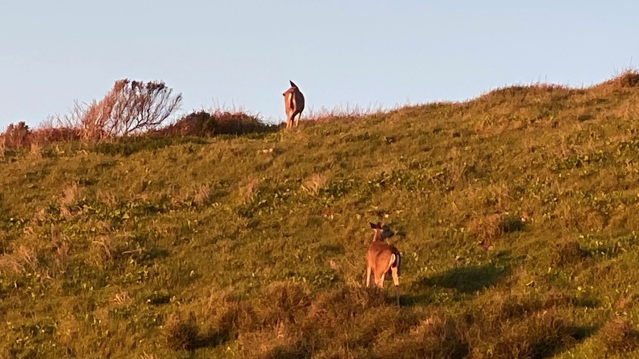 Photo of Others in Baywood Park
