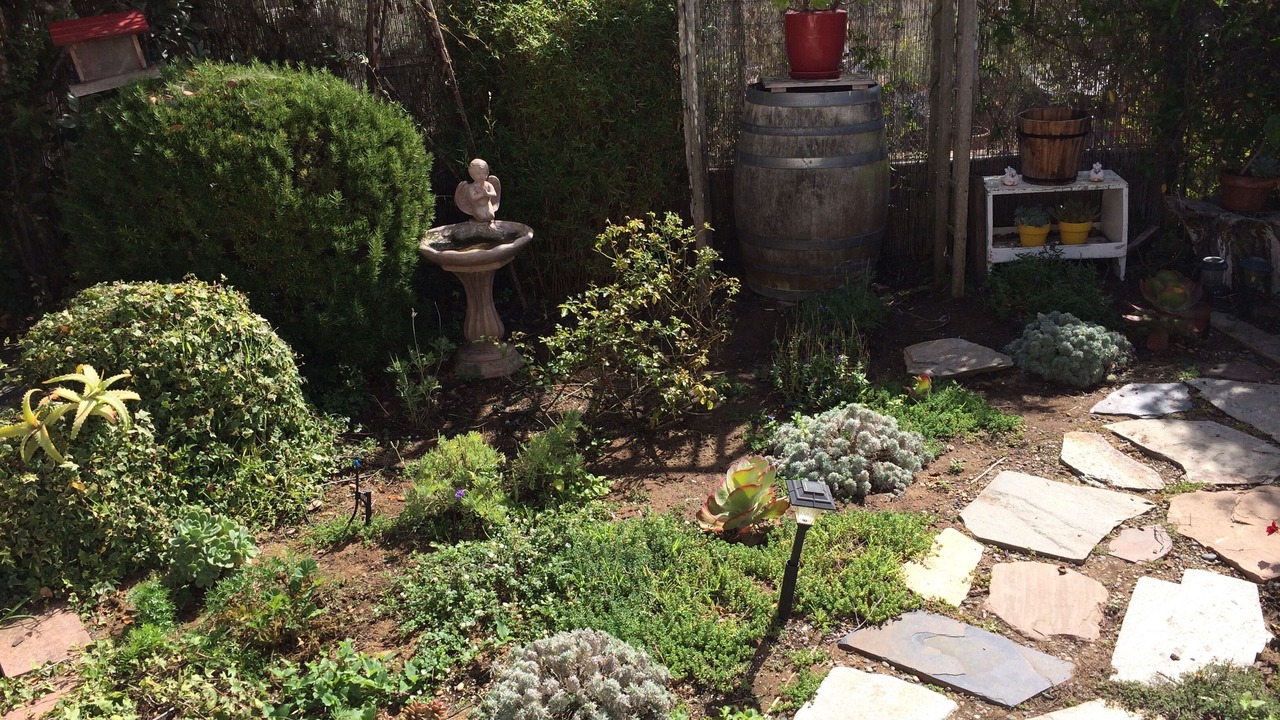Photo of Outdoor in Baywood Park