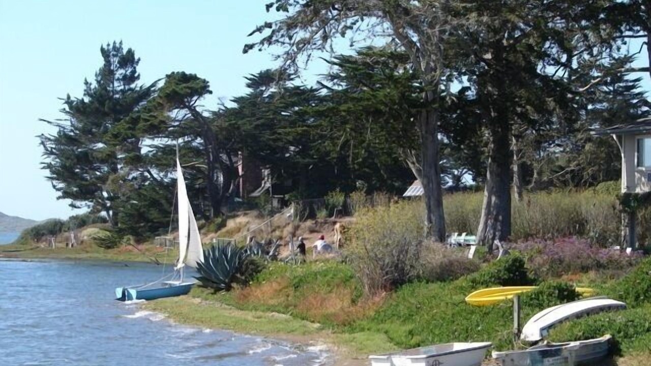 Photo of Others in Baywood Park