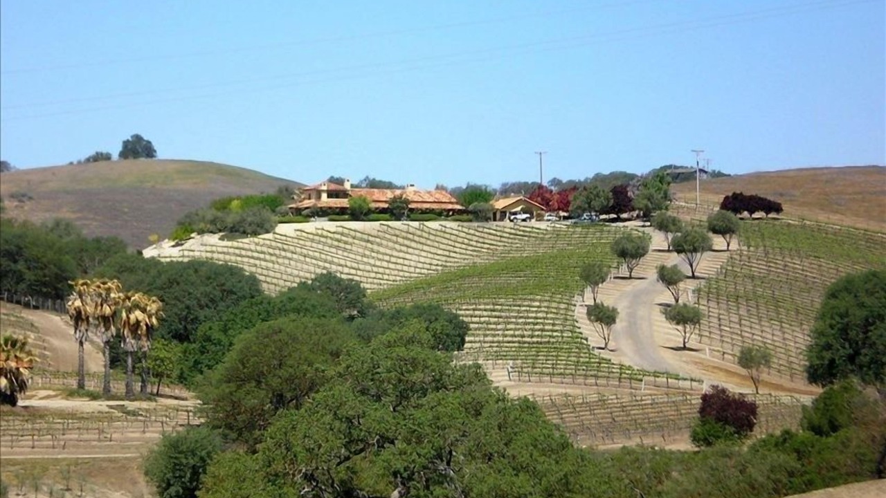 Photo of Others in San Miguel