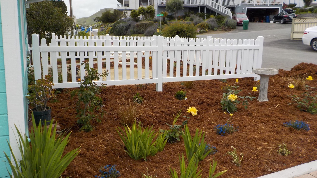 Photo of Others in Cayucos