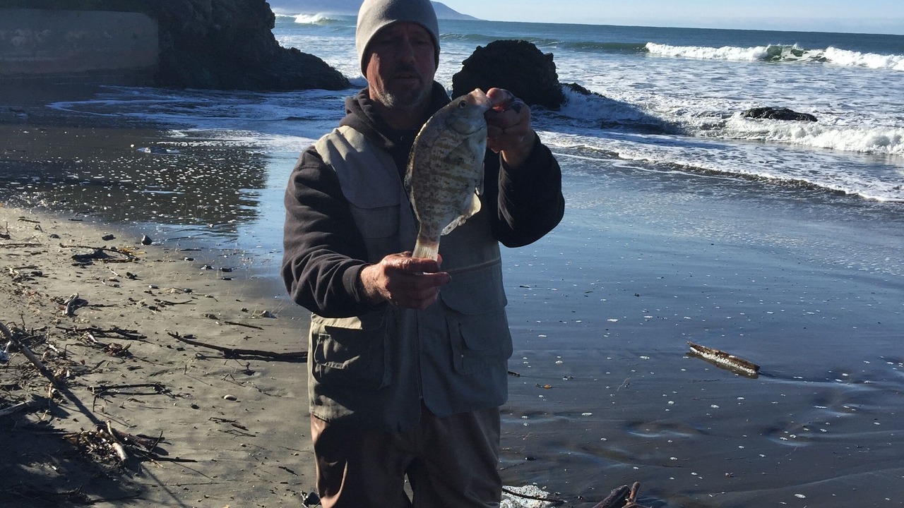 Photo of Others in Cayucos