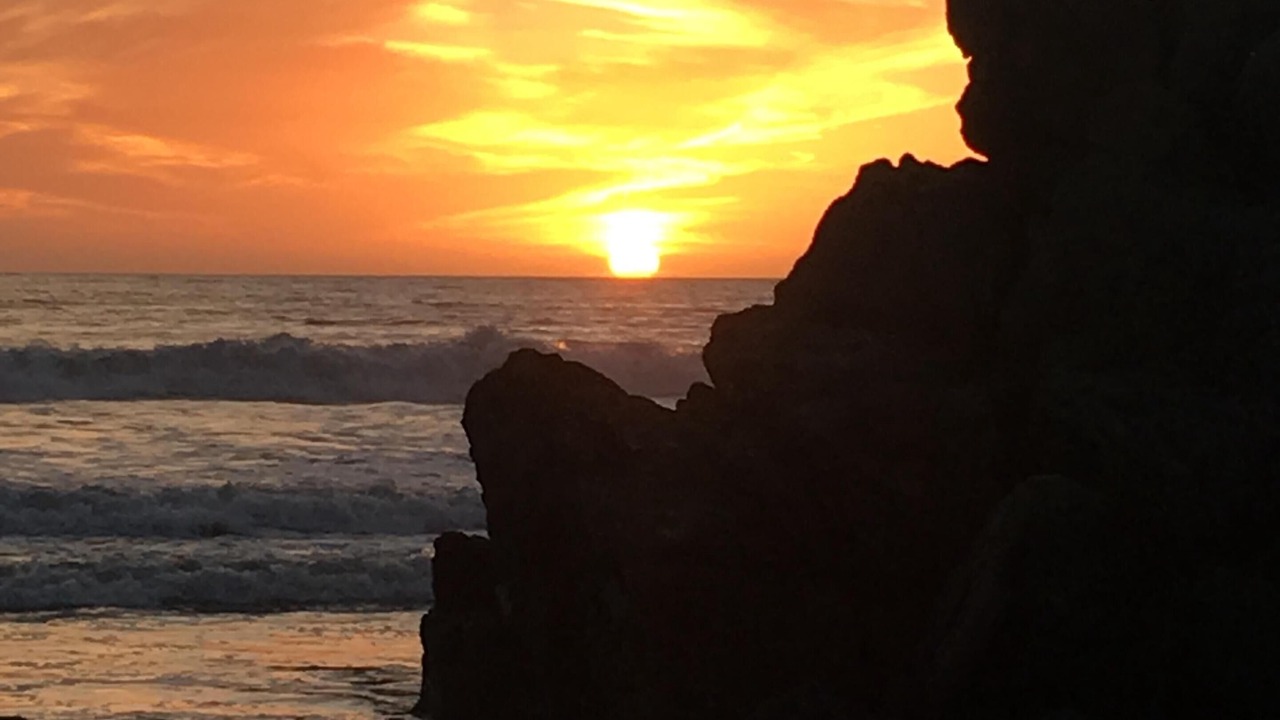 Photo of Others in Cayucos