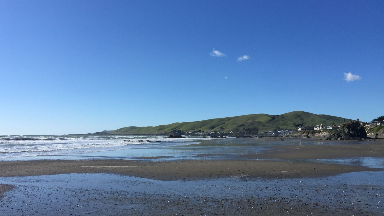 Photo of Others in Cayucos
