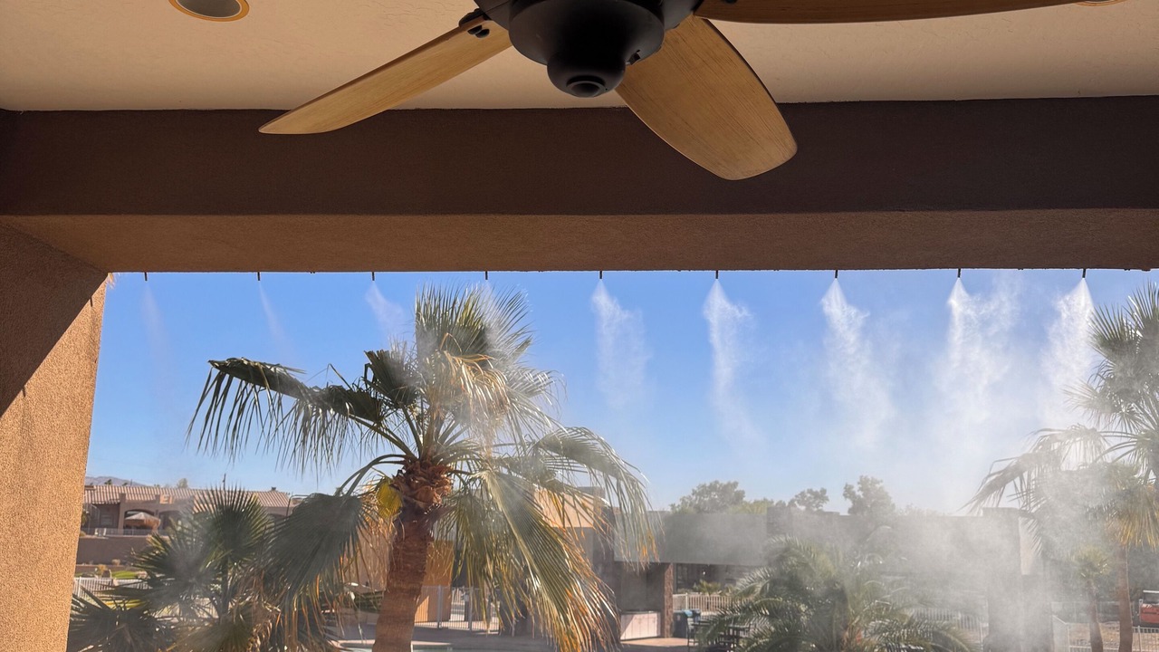 Photo of Others in Lake Havasu City