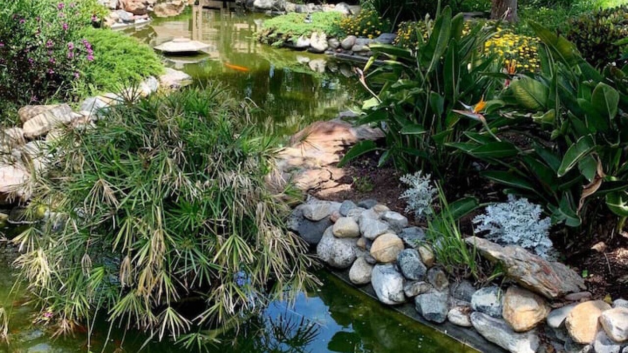 Photo of Outdoor in Solana Beach
