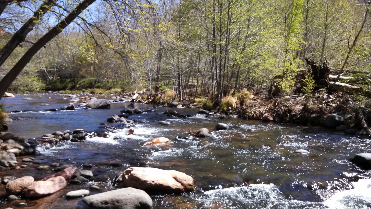 Photo of Others in Sedona