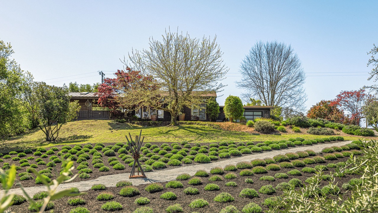 Photo of Outdoor in Healdsburg