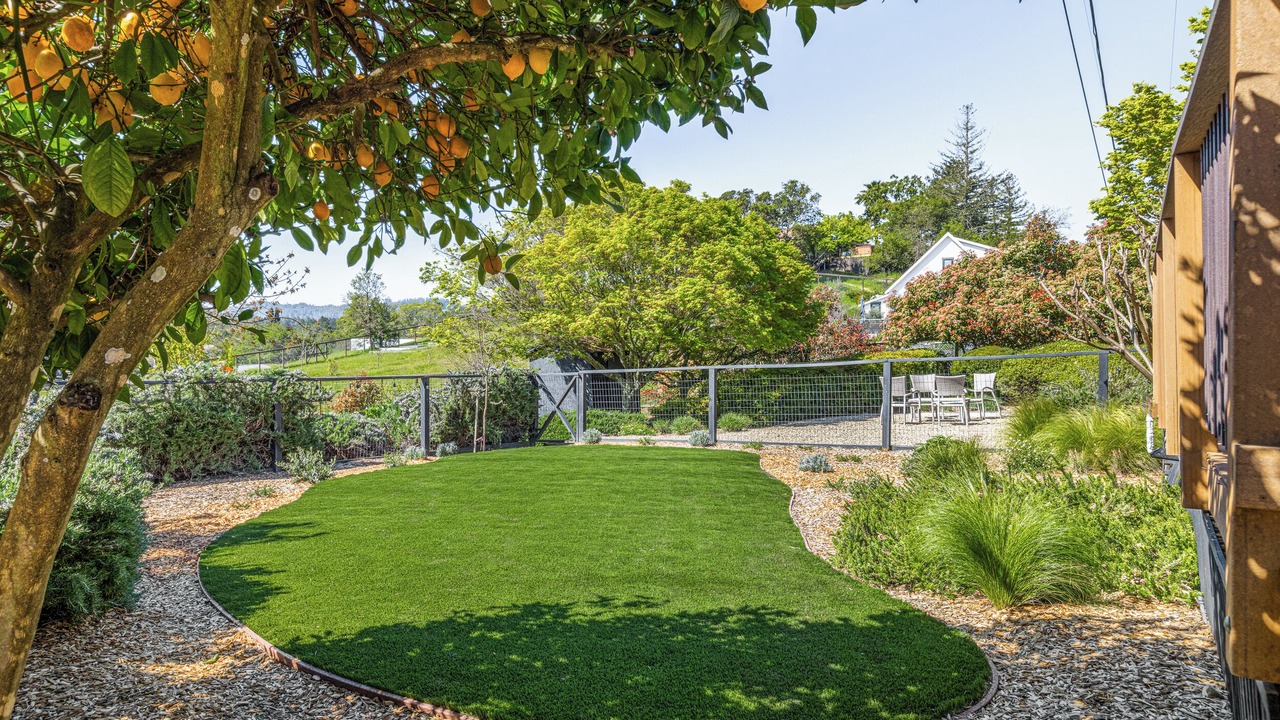 Photo of Outdoor in Healdsburg