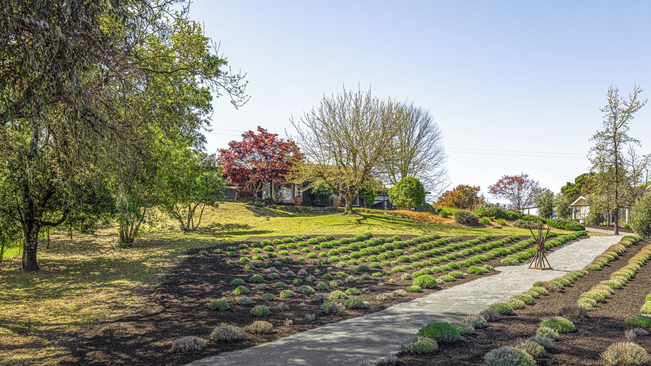 Photo of Outdoor in Healdsburg