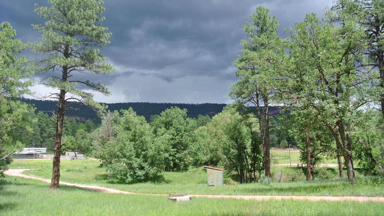 Photo of Outdoor in Payson