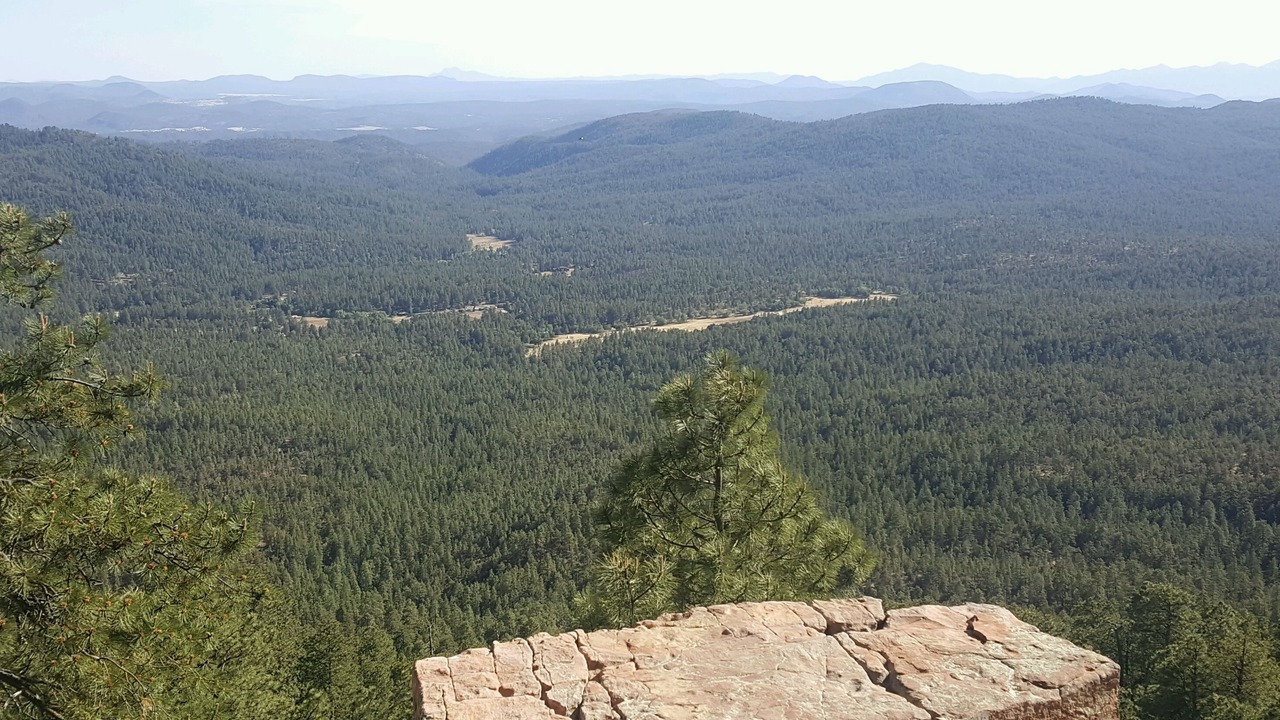 Photo of Others in Payson