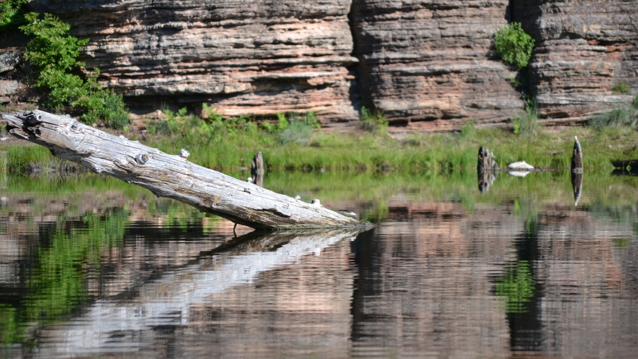 Photo of Outdoor in Payson