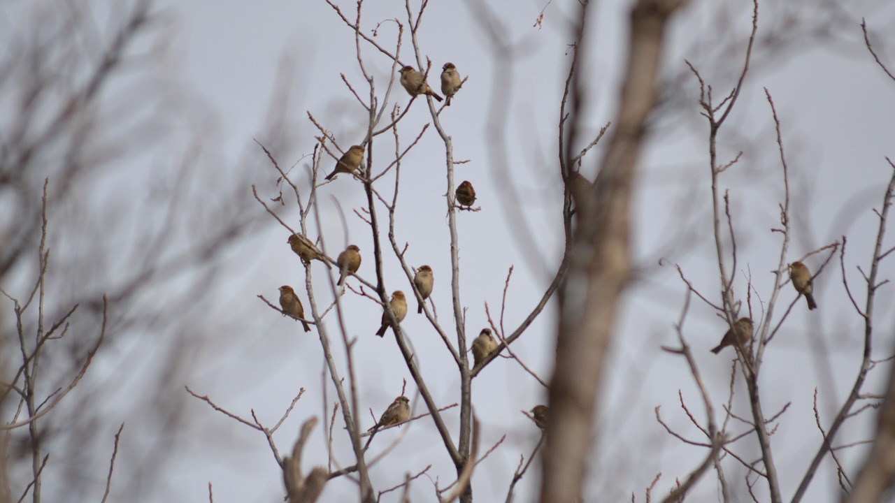 Photo of Others in Payson