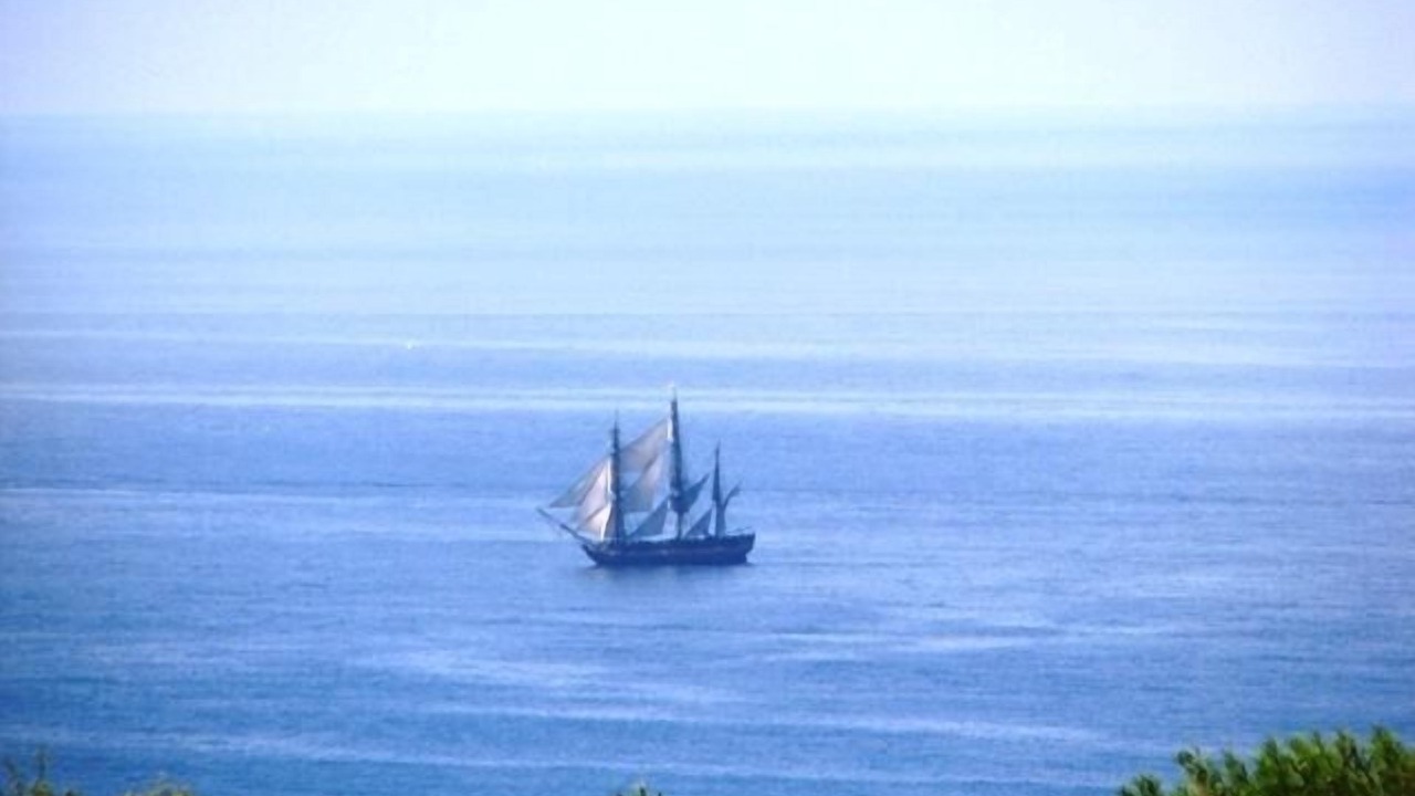 Photo of Others in La Jolla Mesa
