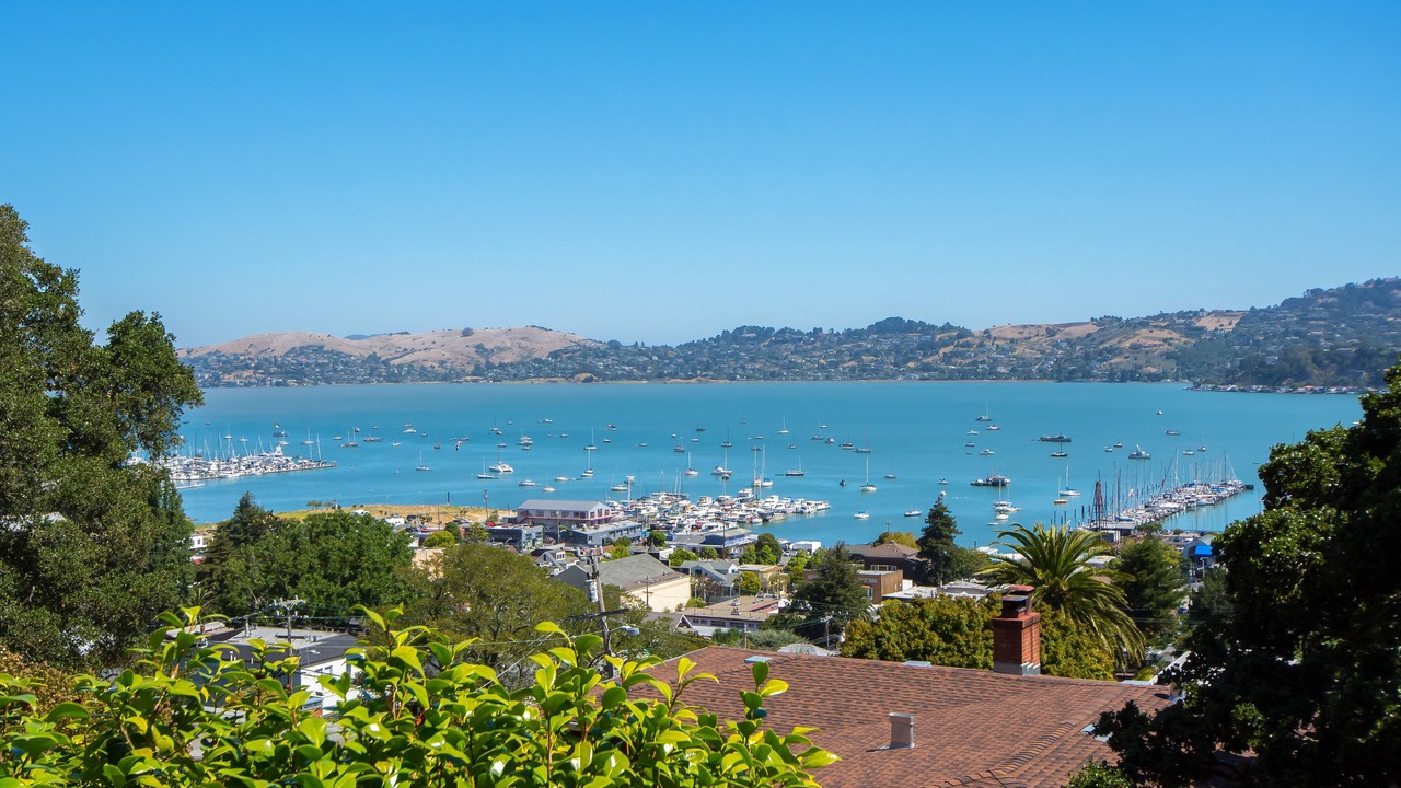 Photo of Bedroom in Sausalito