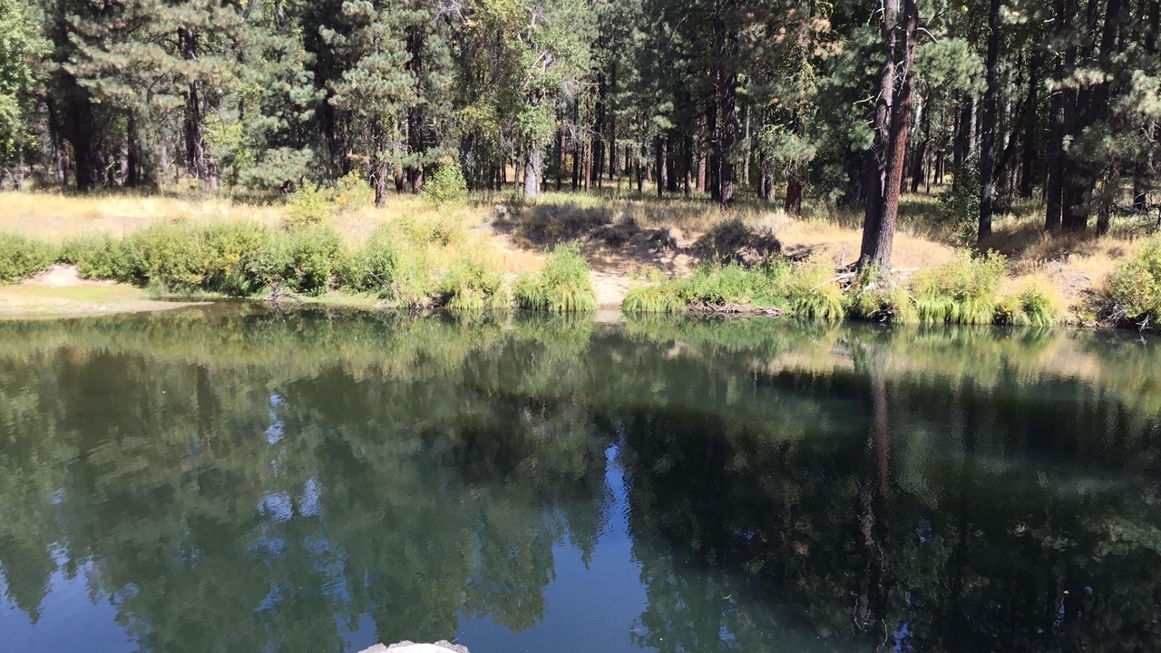 Photo of Others in Plumas Eureka Estates