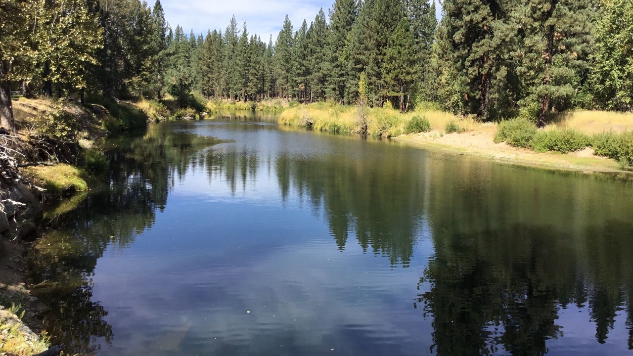 Photo of Others in Plumas Eureka Estates