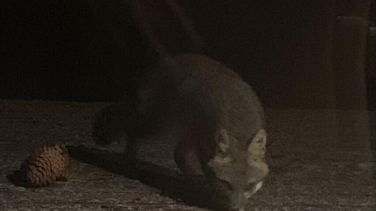 Photo of Others in Plumas Eureka Estates