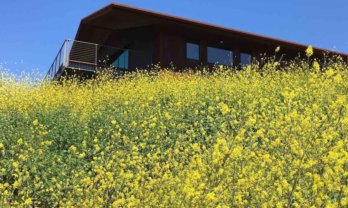 Photo of Outdoor in Arroyo Grande