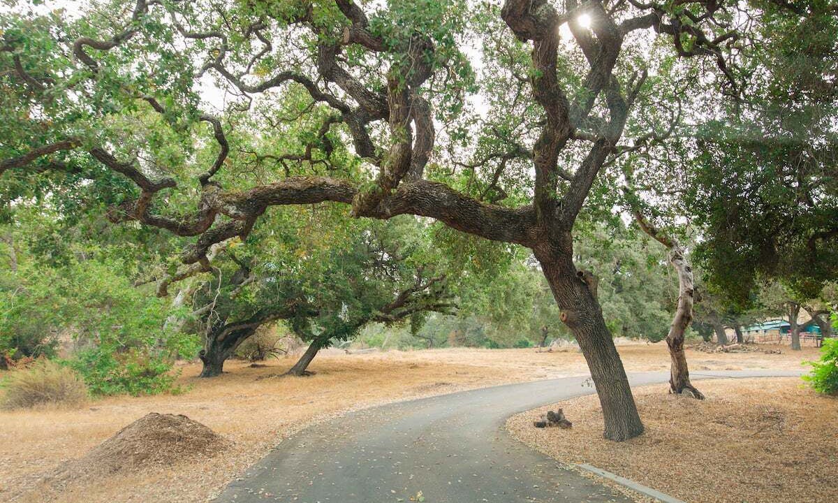 Photo of Others in Arroyo Grande