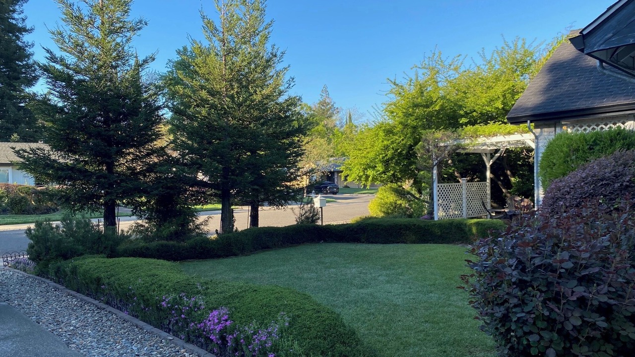 Photo of Outdoor in Citrus Heights
