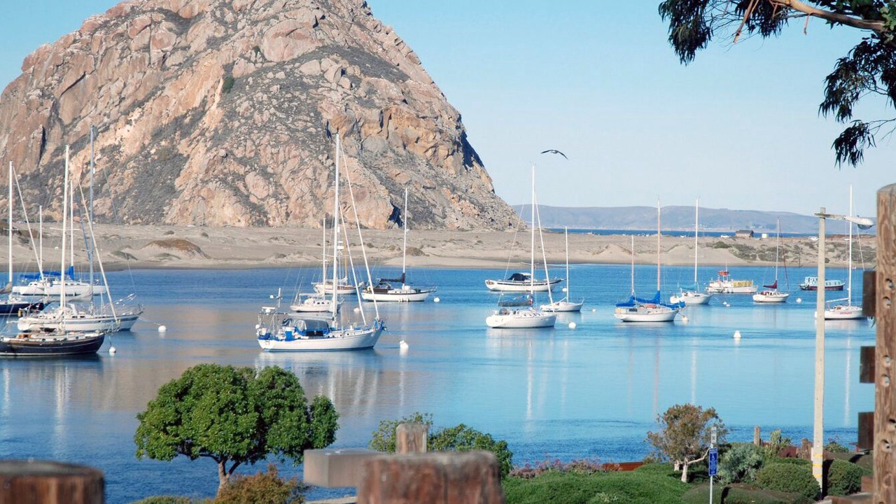 Photo of Others in Morro Bay