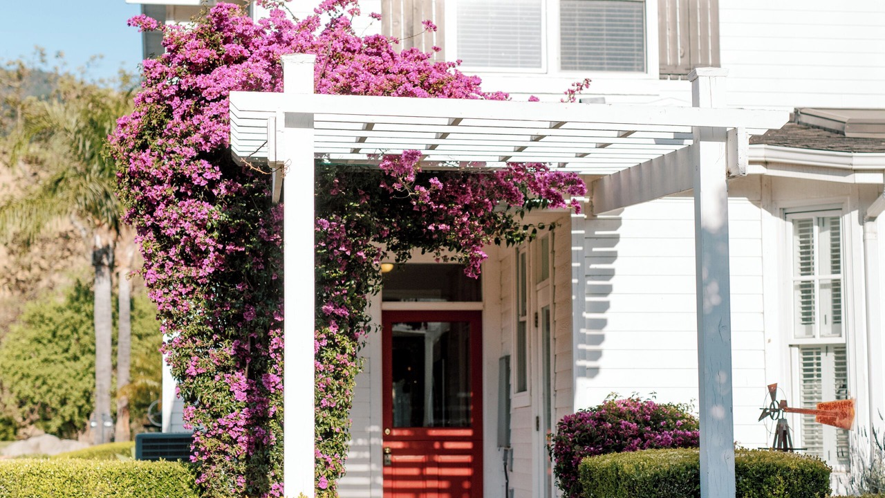 Photo of Outdoor in San Luis Obispo