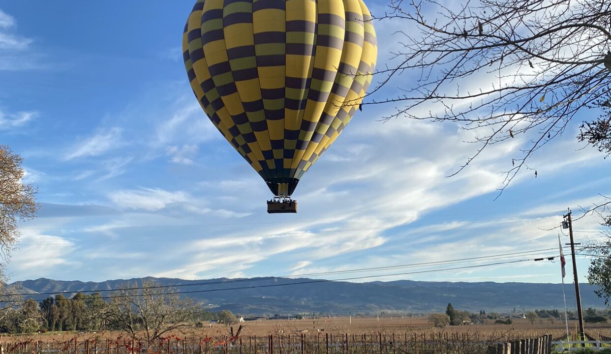 Photo of Outdoor in Oak Knoll