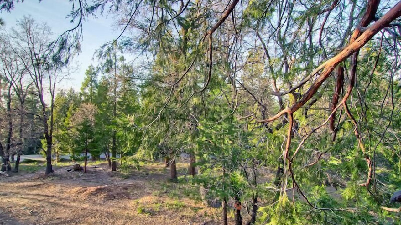 Photo of Outdoor in Yosemite West