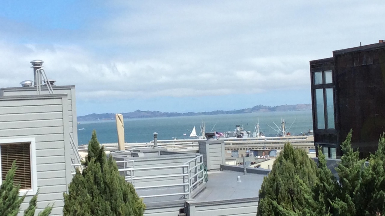 Photo of Others in Fisherman's Wharf