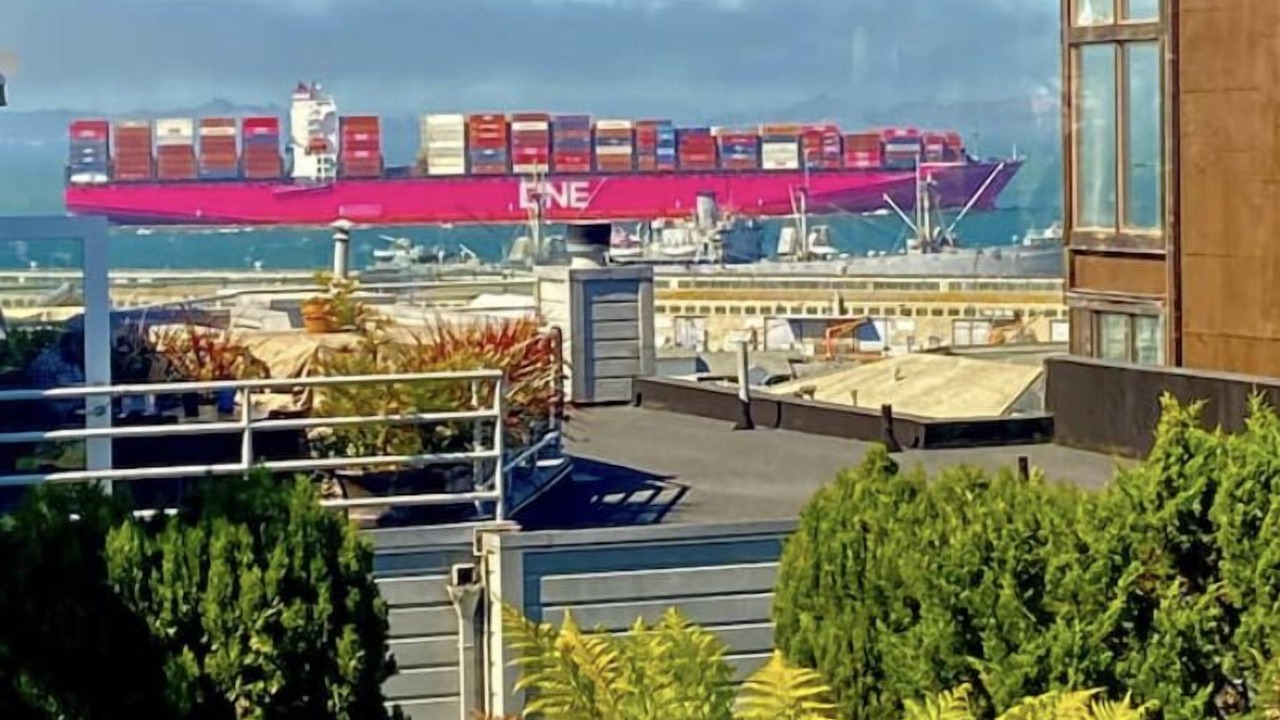Photo of Others in Fisherman's Wharf