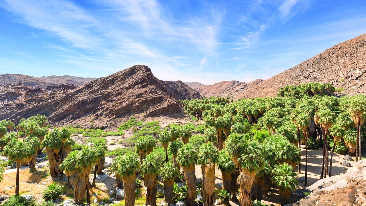 Photo of Outdoor in Palm Springs