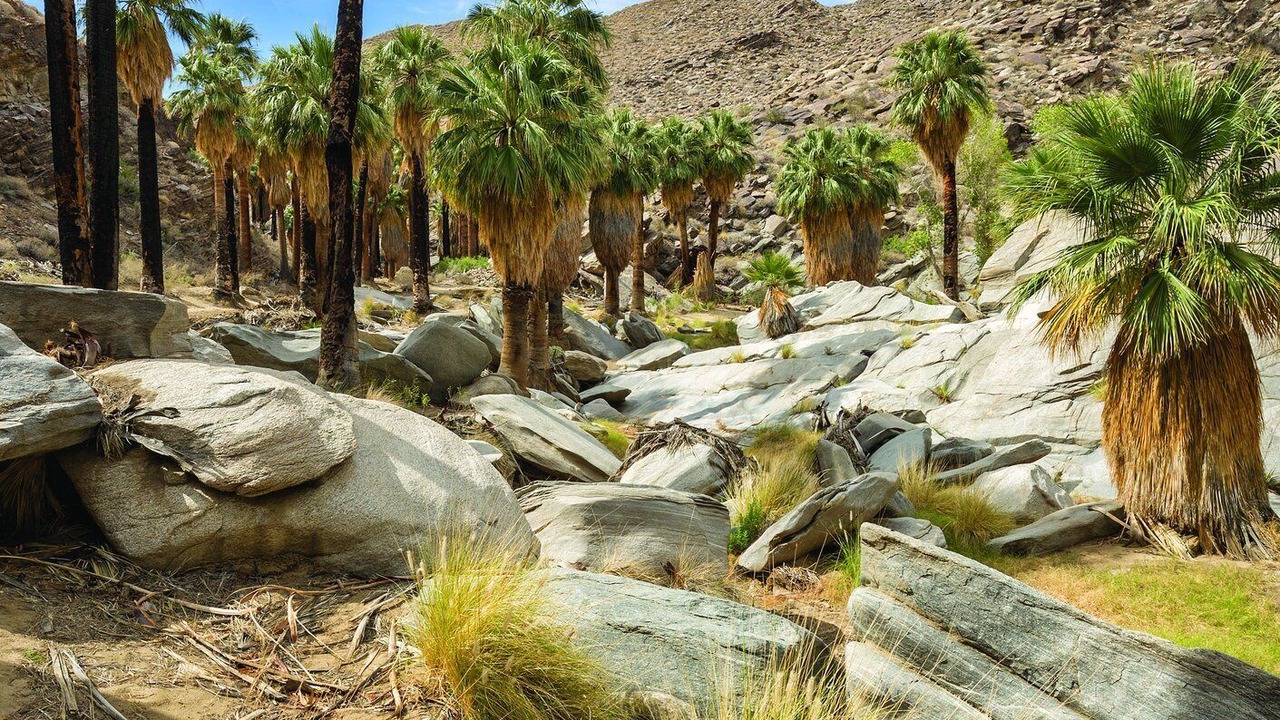 Photo of Outdoor in Palm Springs