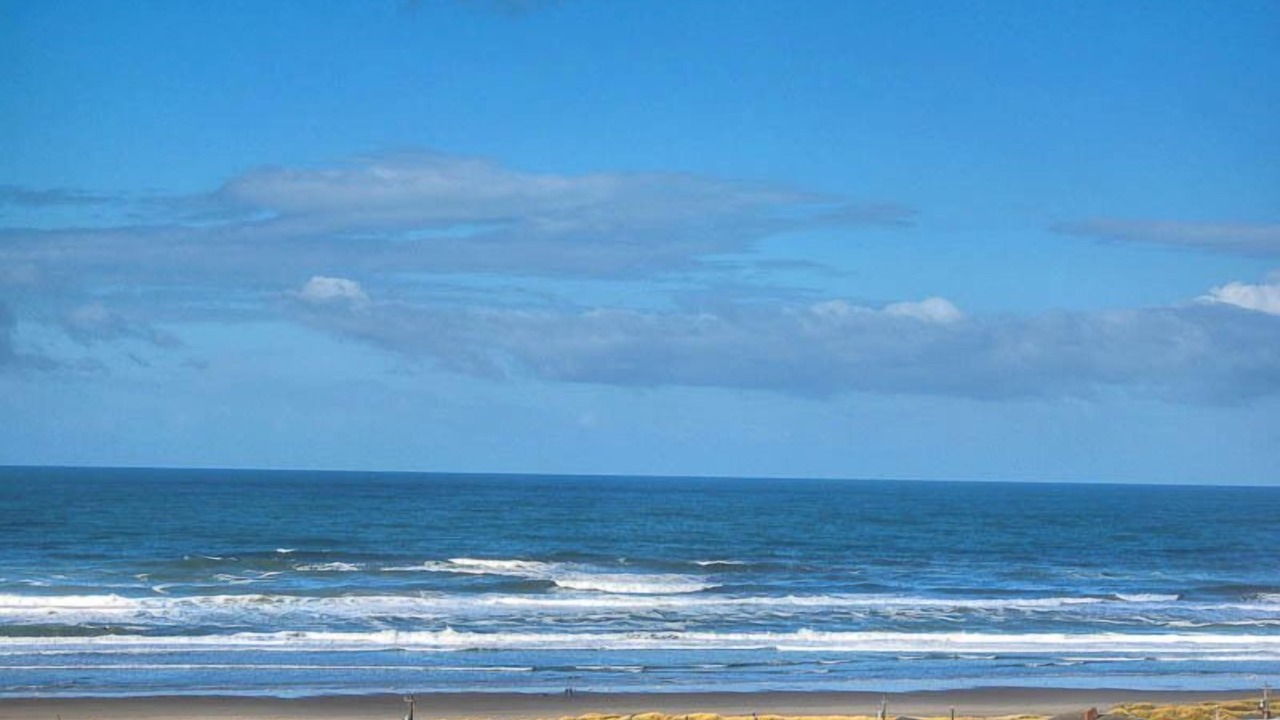 Photo of Others in Bayshore