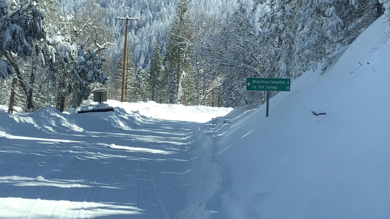 Photo of Outdoor in Posey