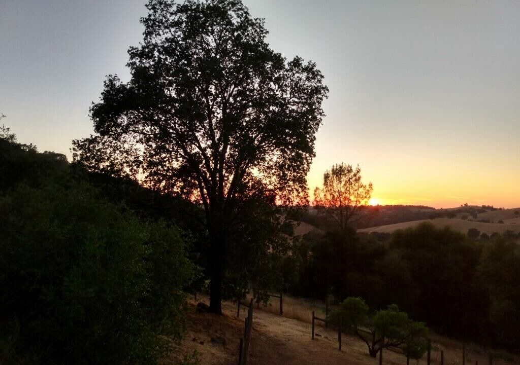 Photo of Others in Sutter Creek