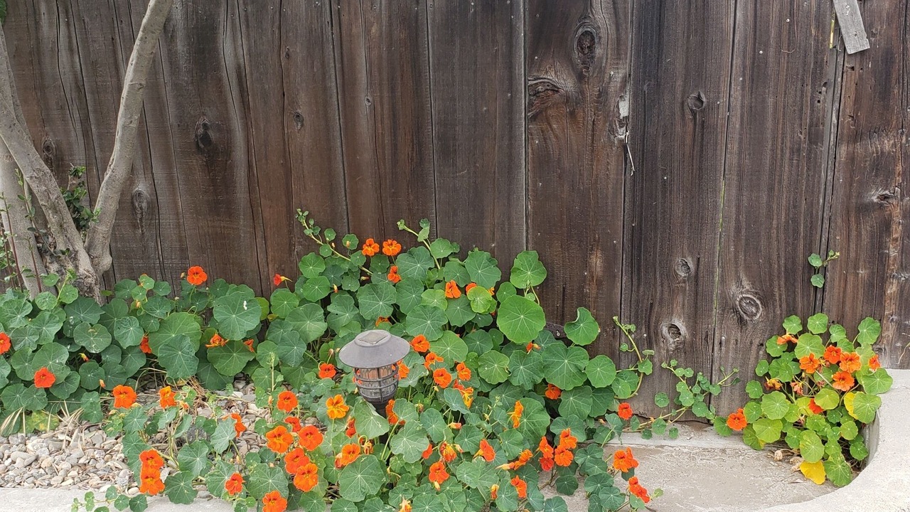 Photo of Outdoor in Grover Beach