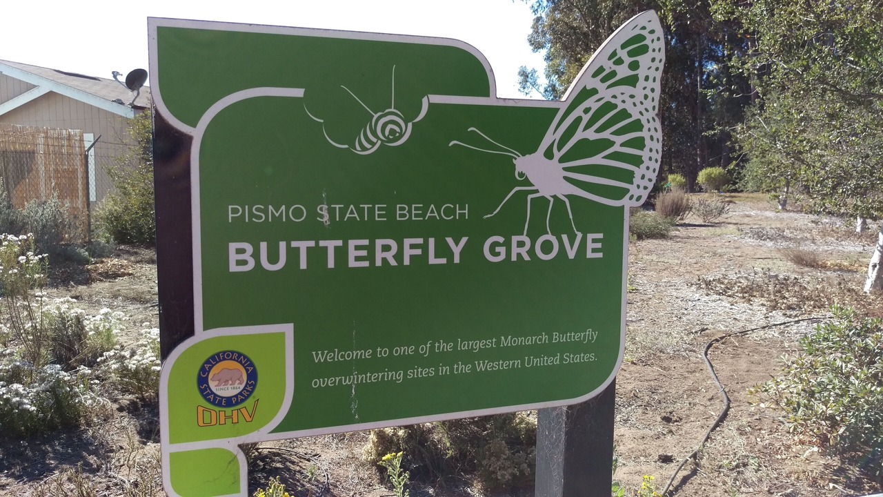 Photo of Outdoor in Grover Beach