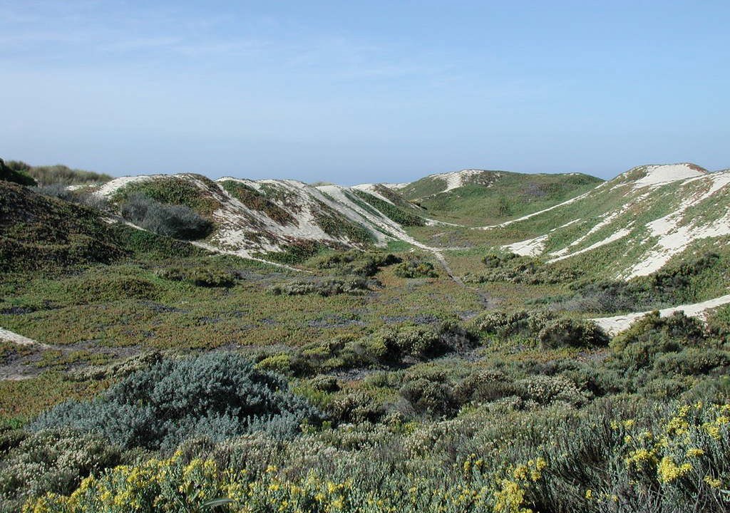 Photo of Outdoor in Grover Beach