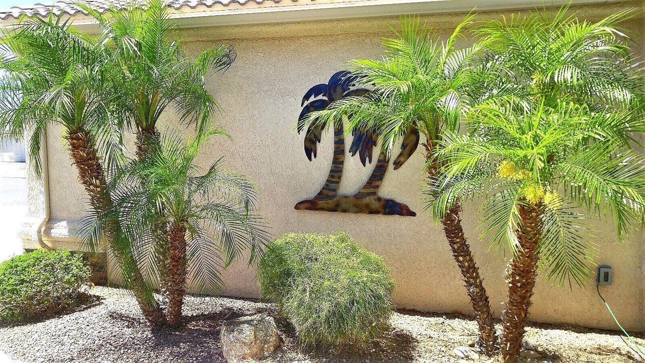 Photo of Outdoor in Lake Havasu City