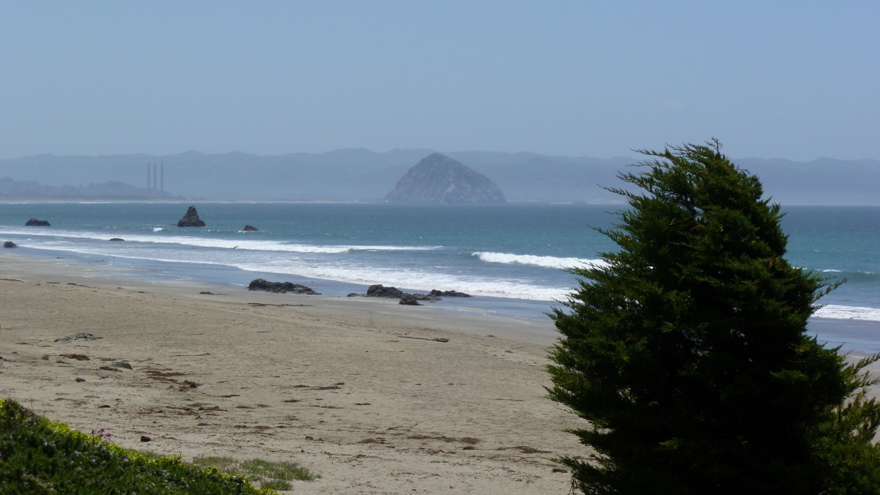 Photo of Others in Cayucos