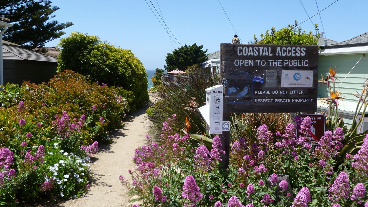 Photo of Outdoor in Cayucos